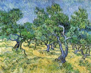 El olivar de Van Gogh