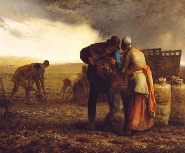 La cosecha de patatas de Millet