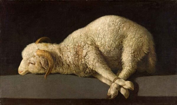 "Agnus Dei" de Zurbarán