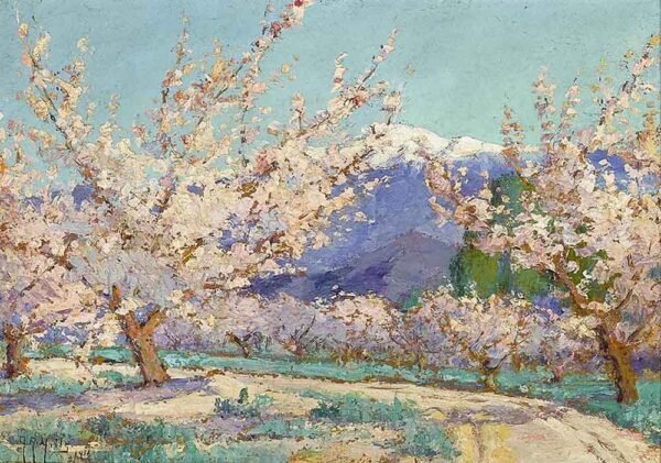 "Almendros en primavera" de Anna Hills