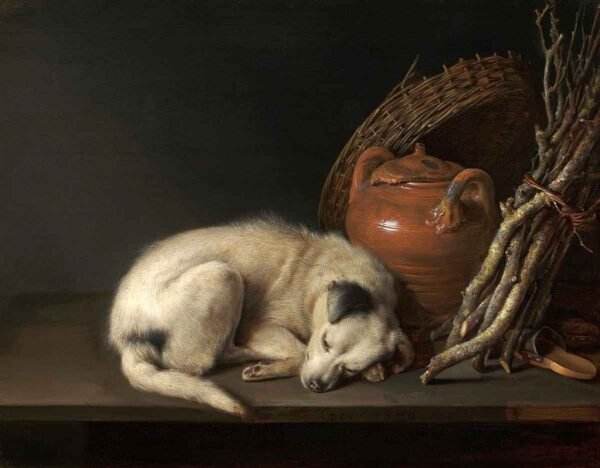 "Perro descansando" de Gerrit Dou